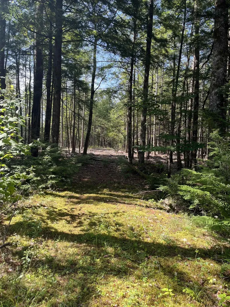 61 Dame Road Tuftonboro NH 03816