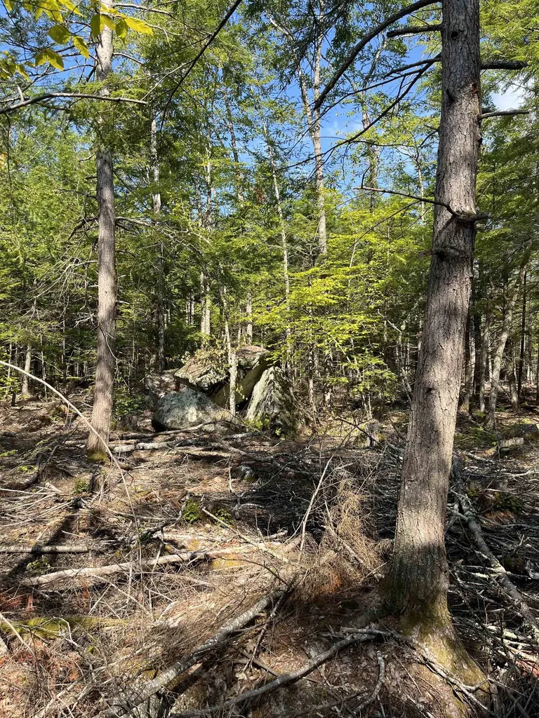 61 Dame Road Tuftonboro NH 03816