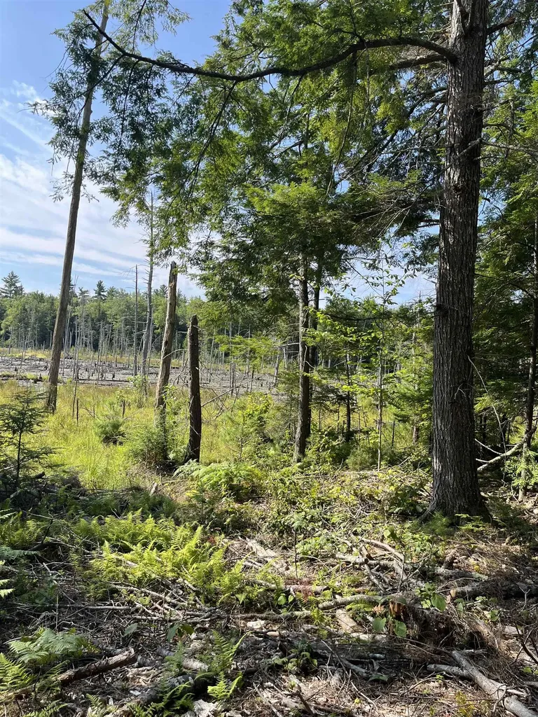 61 Dame Road Tuftonboro NH 03816