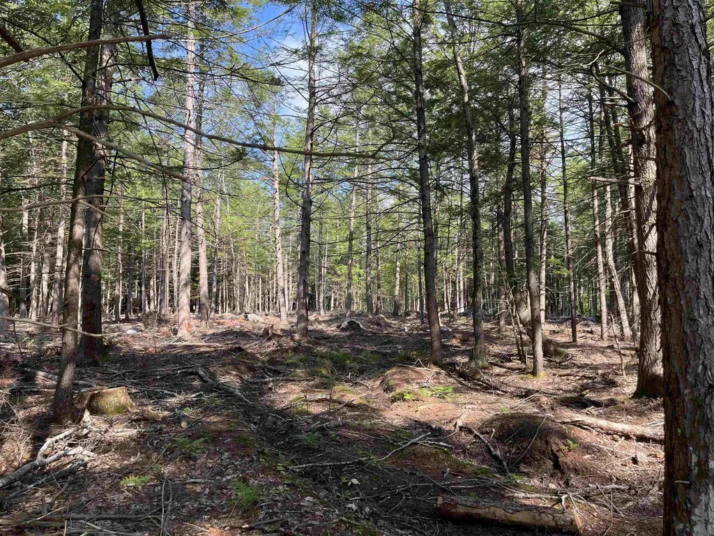 61 Dame Road Tuftonboro NH 03816