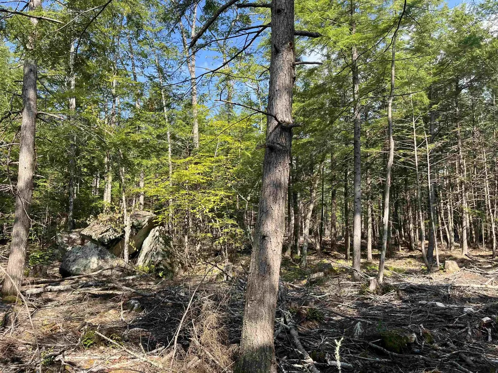 61 Dame Road Tuftonboro NH 03816