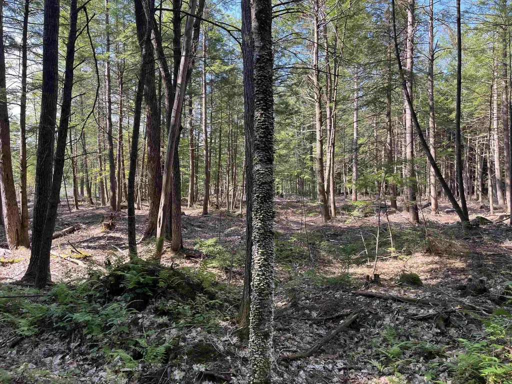 61 Dame Road Tuftonboro NH 03816