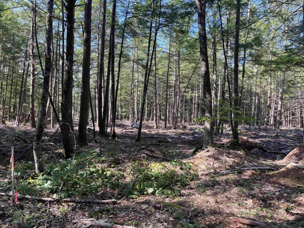 61 Dame Road Tuftonboro NH 03816