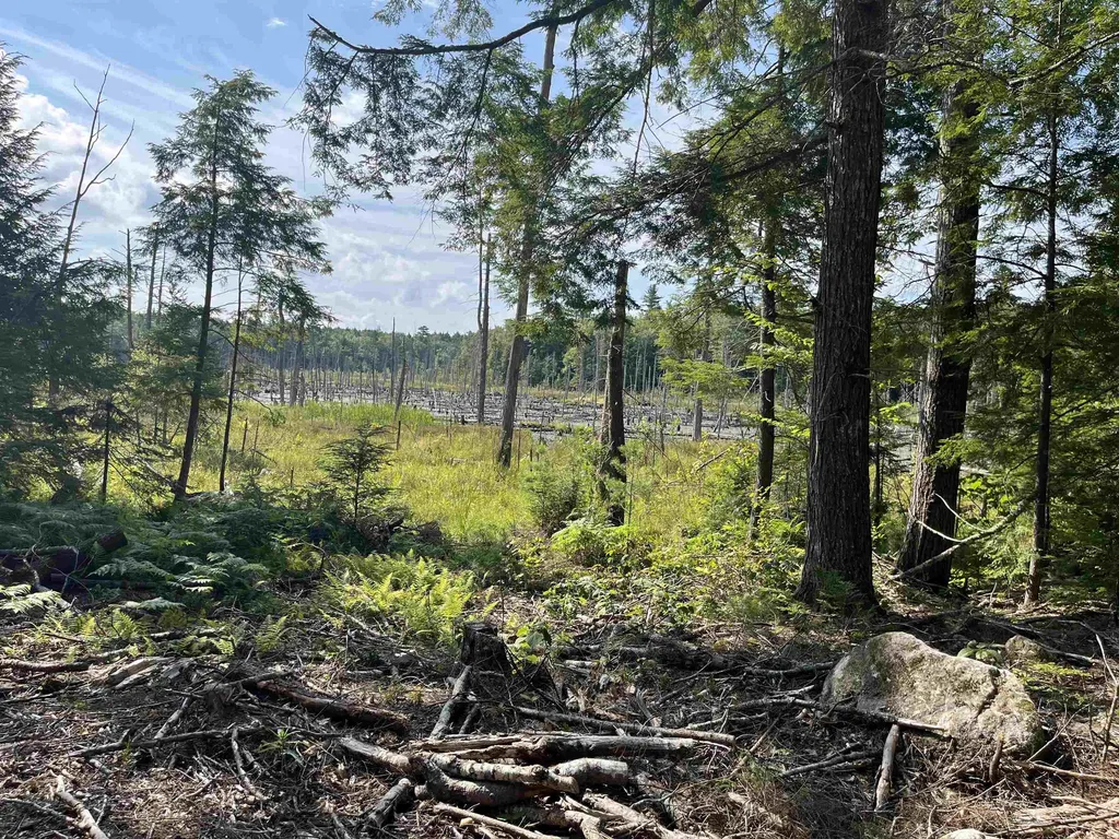 61 Dame Road Tuftonboro NH 03816