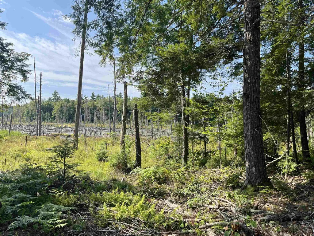 61 Dame Road Tuftonboro NH 03816