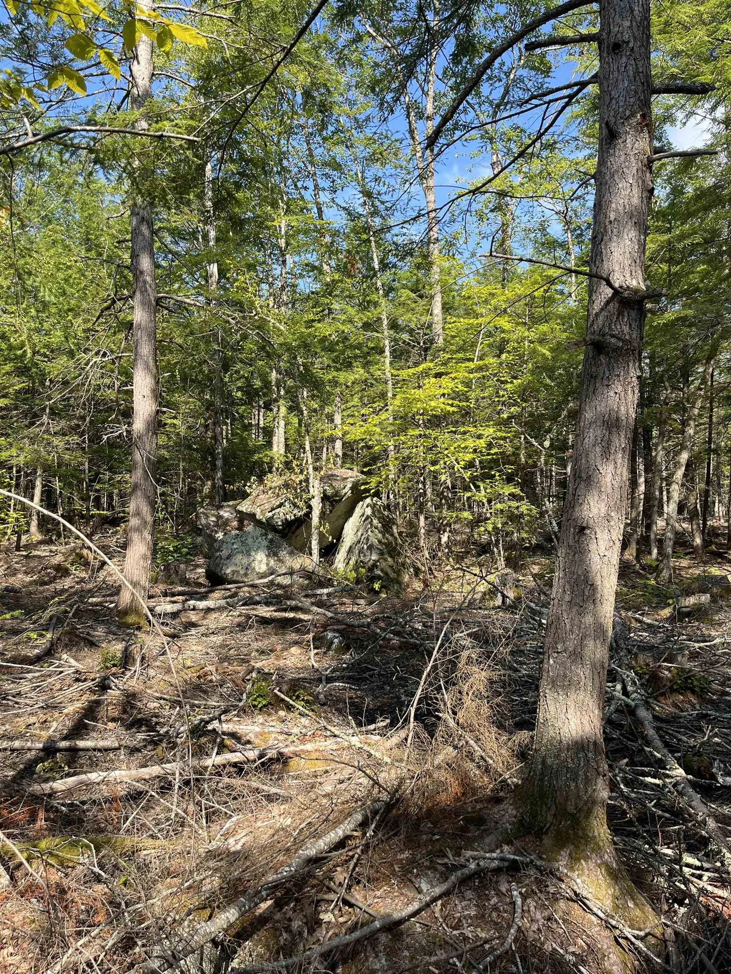 61 Dame Road Tuftonboro NH 03816