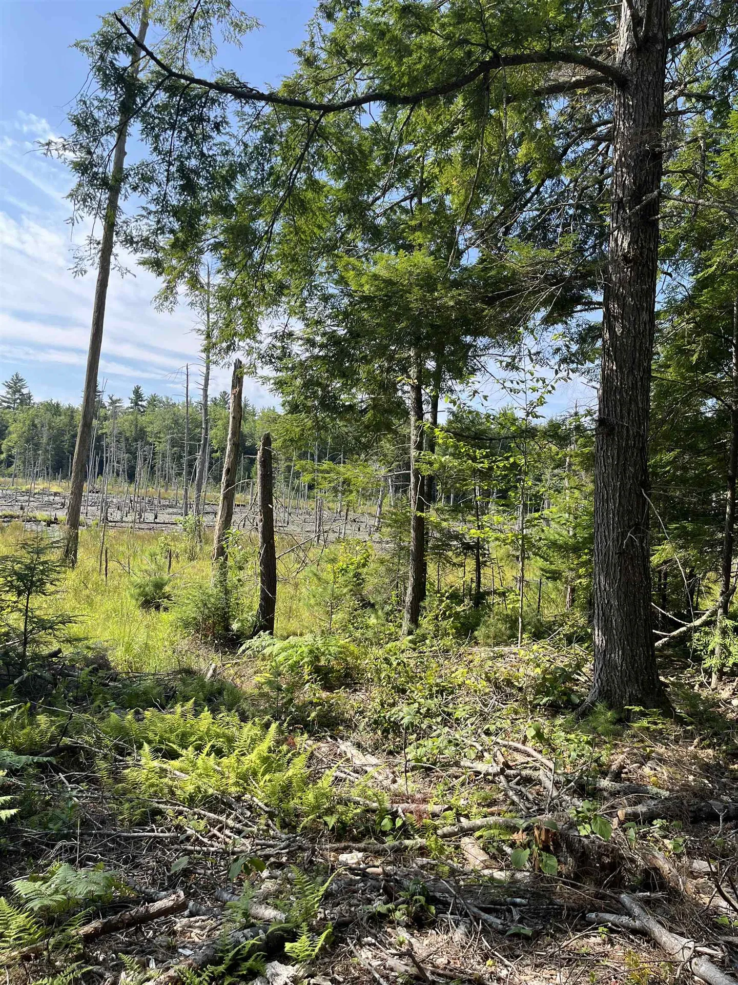 61 Dame Road Tuftonboro NH 03816