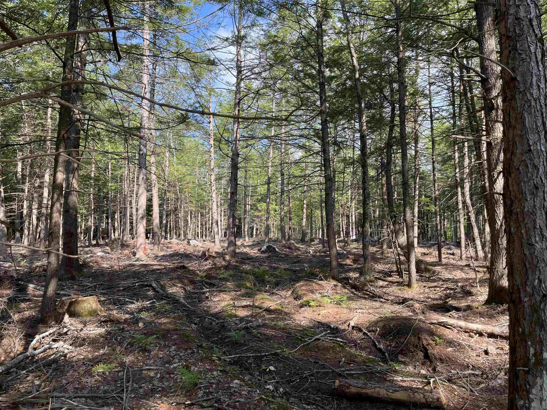 61 Dame Road Tuftonboro NH 03816