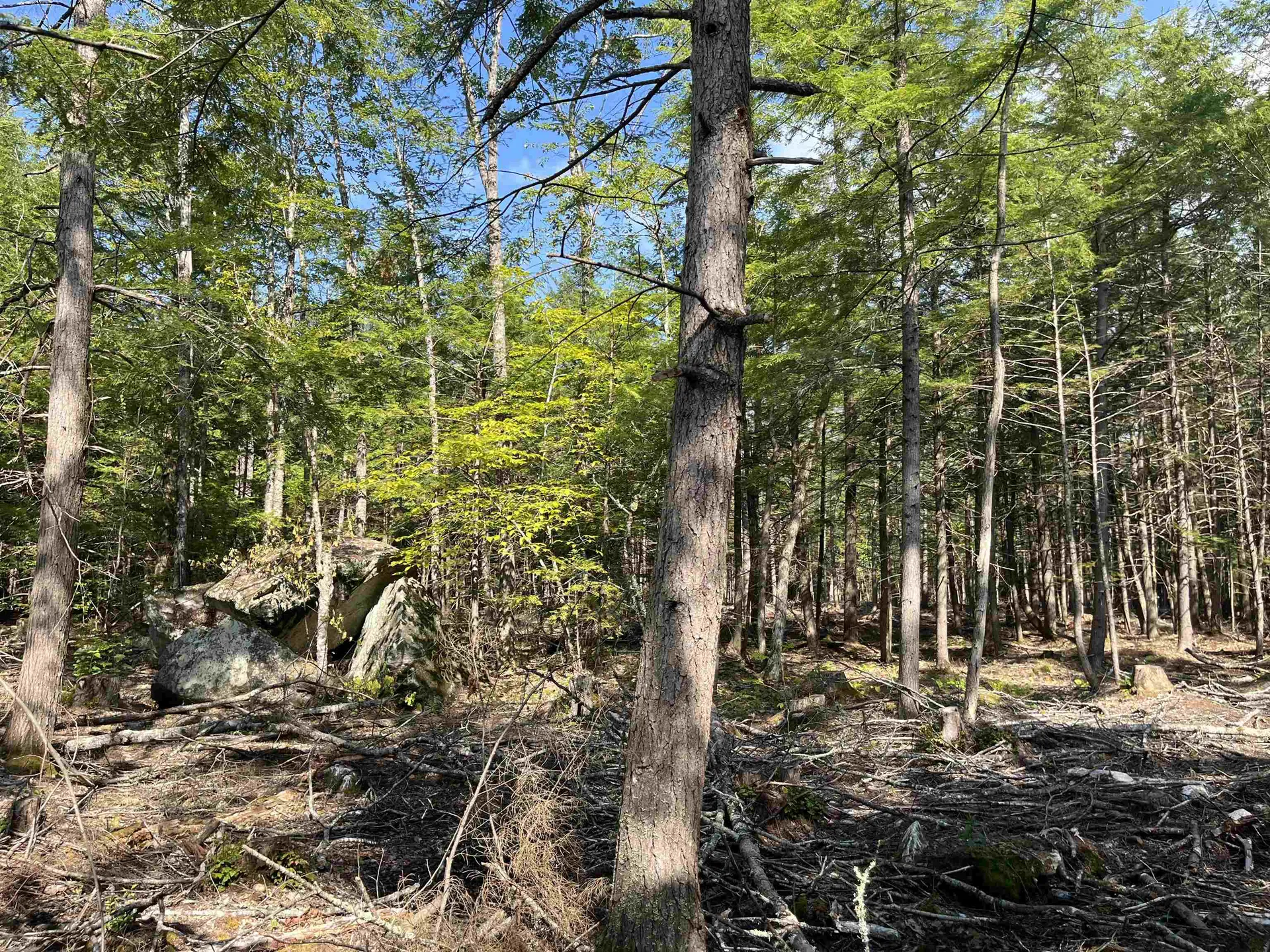 61 Dame Road Tuftonboro NH 03816