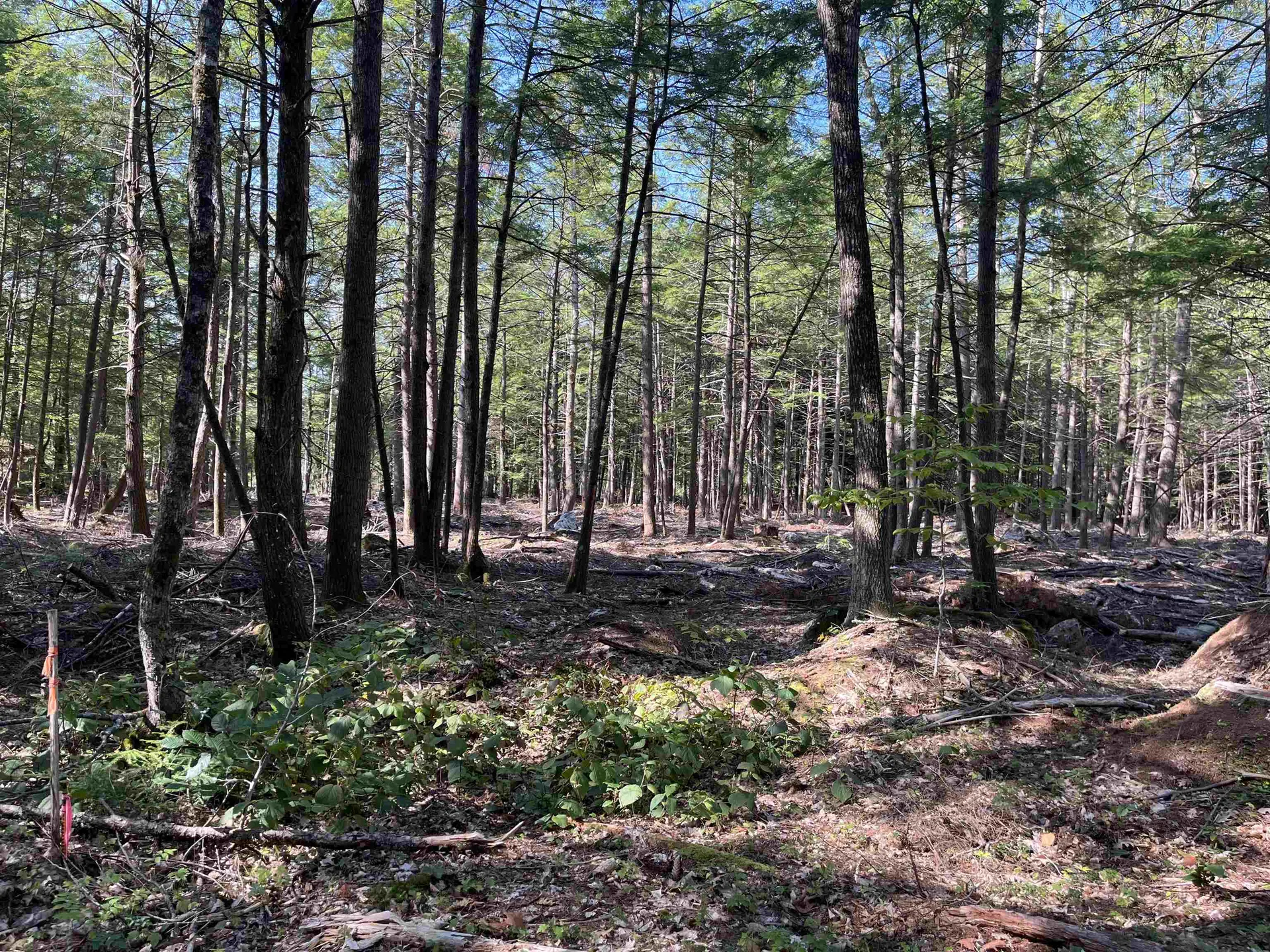 61 Dame Road Tuftonboro NH 03816