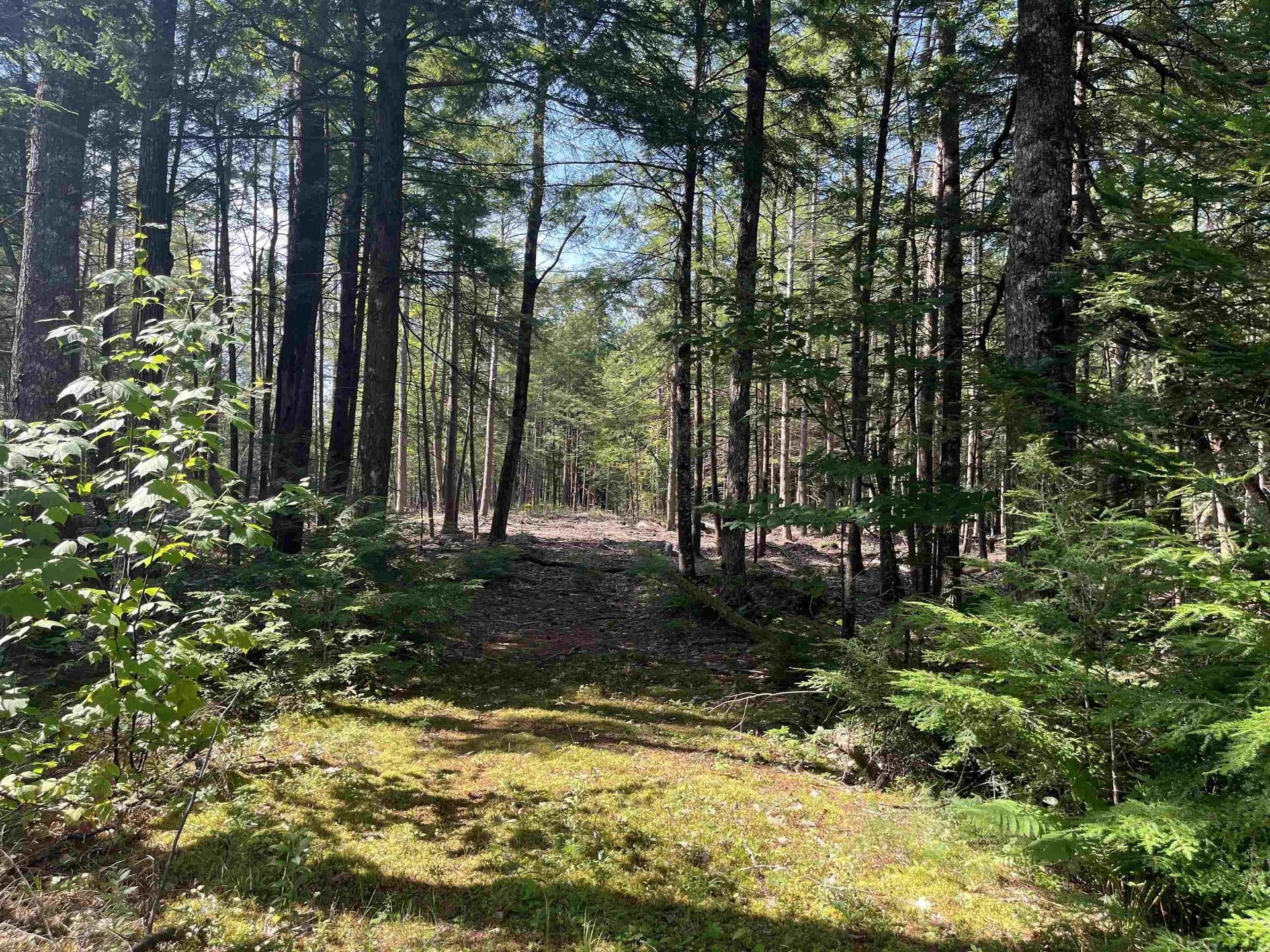 61 Dame Road Tuftonboro NH 03816