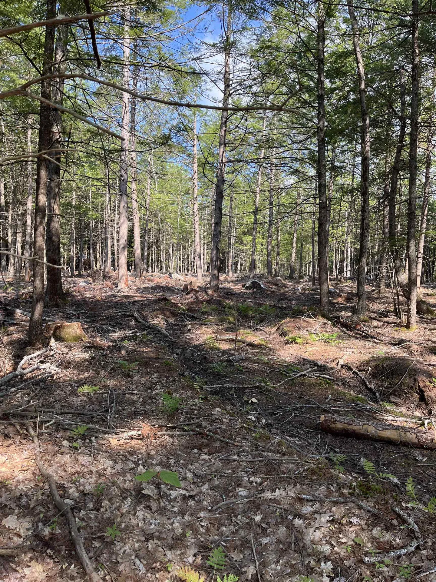 61 Dame Road Tuftonboro NH 03816