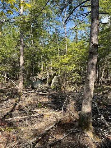 61 Dame Road Tuftonboro NH 03816