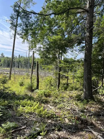 61 Dame Road Tuftonboro NH 03816