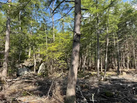 61 Dame Road Tuftonboro NH 03816