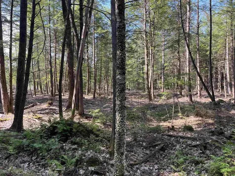 61 Dame Road Tuftonboro NH 03816