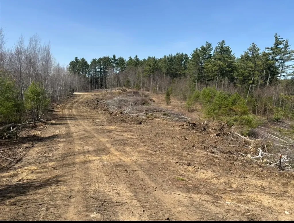 00B Route 16 Highway Ossipee NH 03864