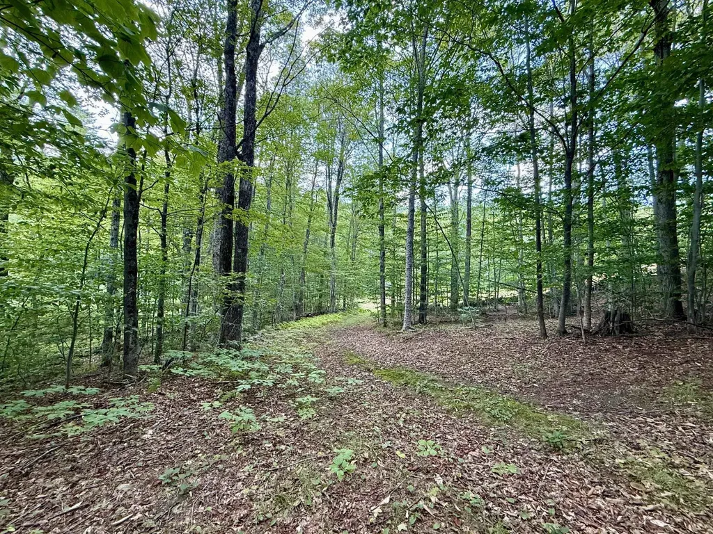 1342 Old Stage Road Chester VT 05143