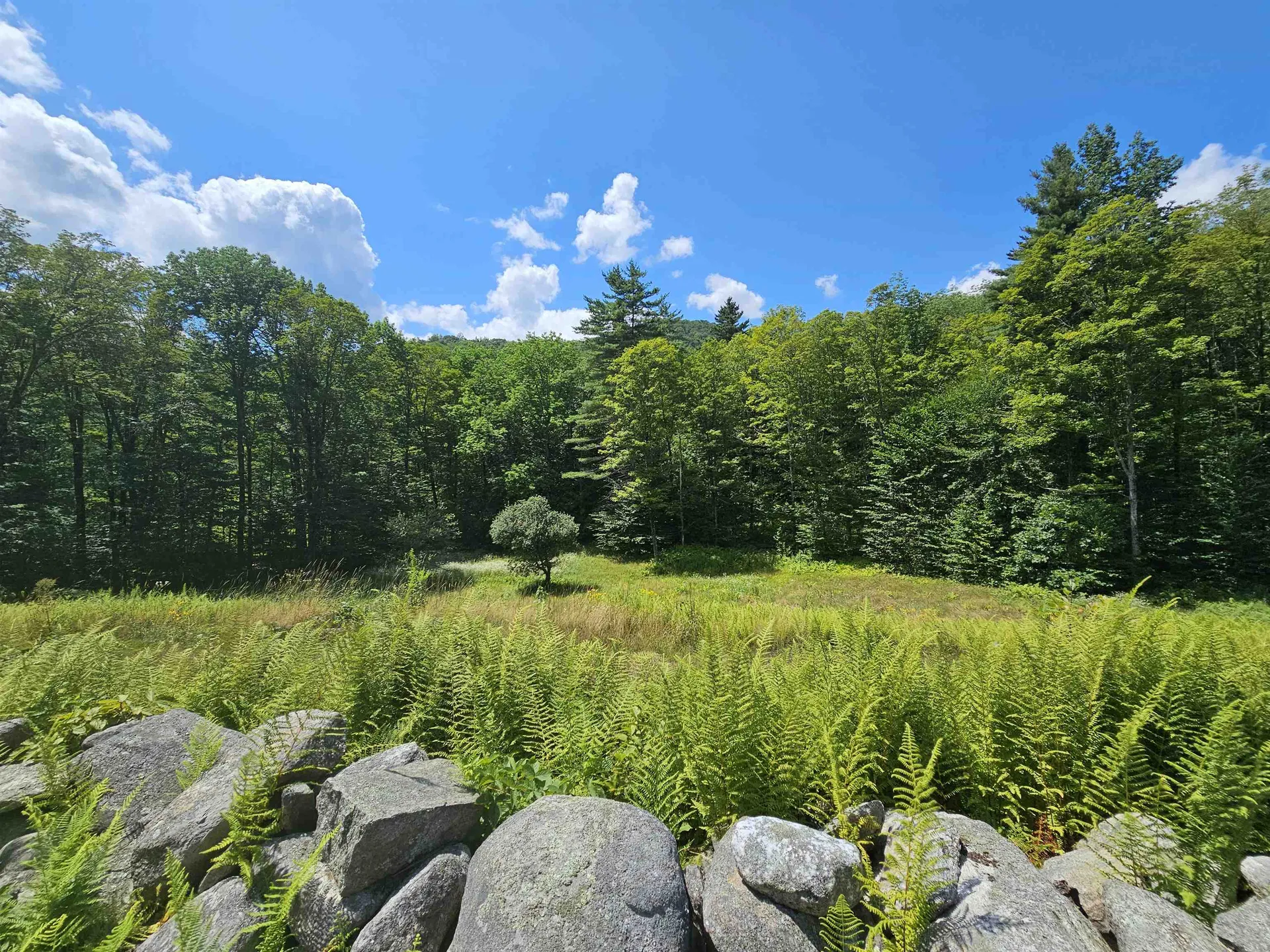 1342 Old Stage Road Chester VT 05143