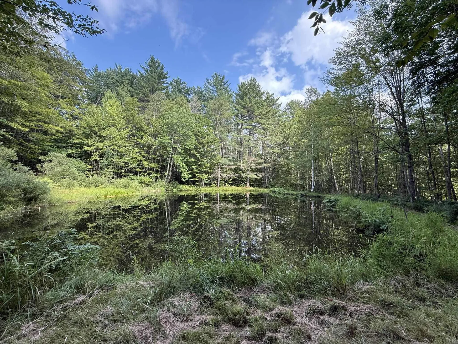 1342 Old Stage Road Chester VT 05143