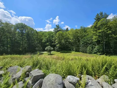 1342 Old Stage Road Chester VT 05143