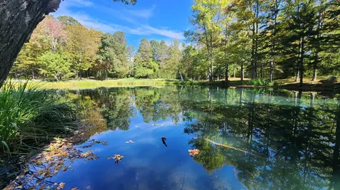 1342 Old Stage Road Chester VT 05143