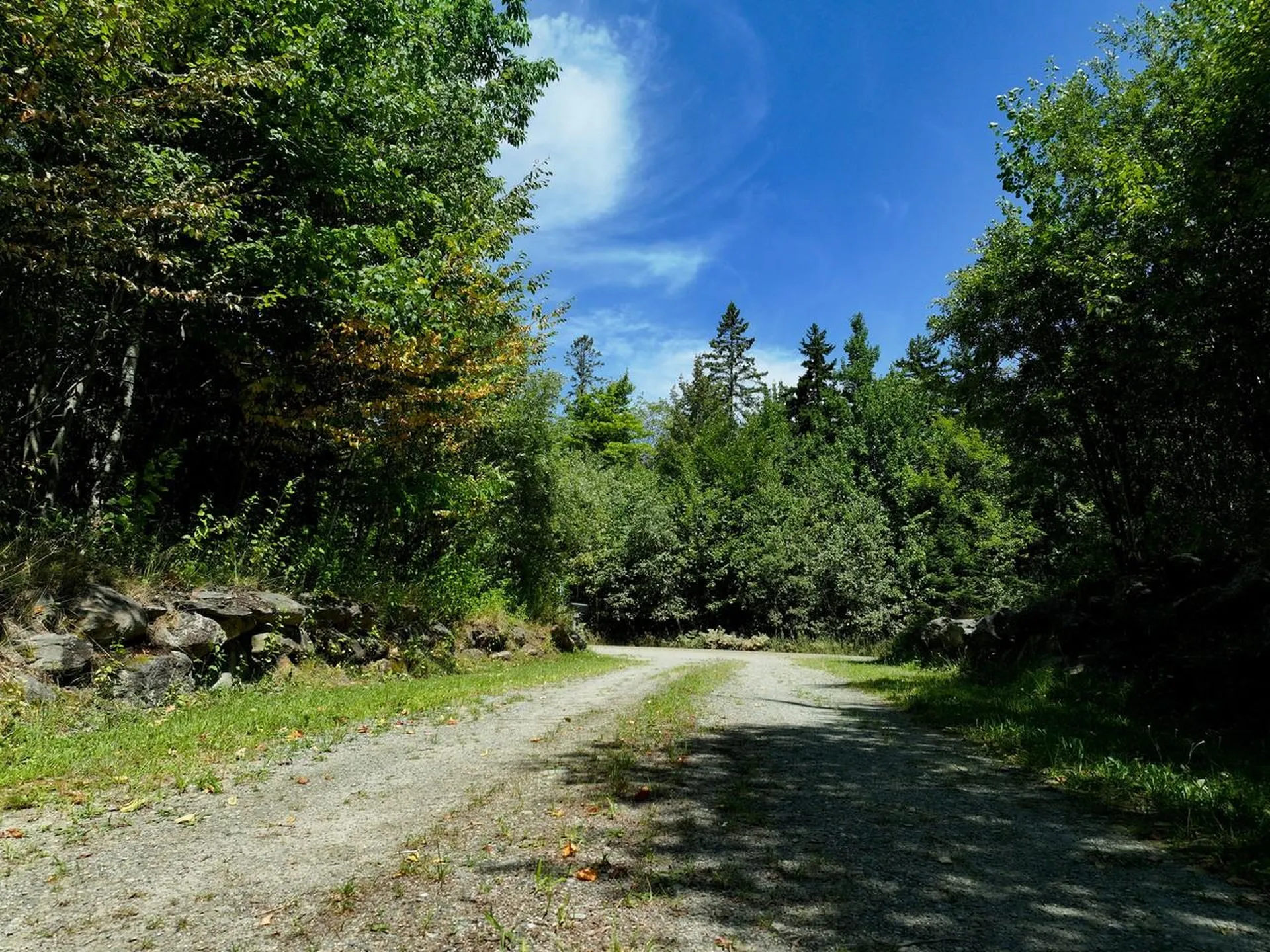 3298 East Hill Road Eden VT 05653