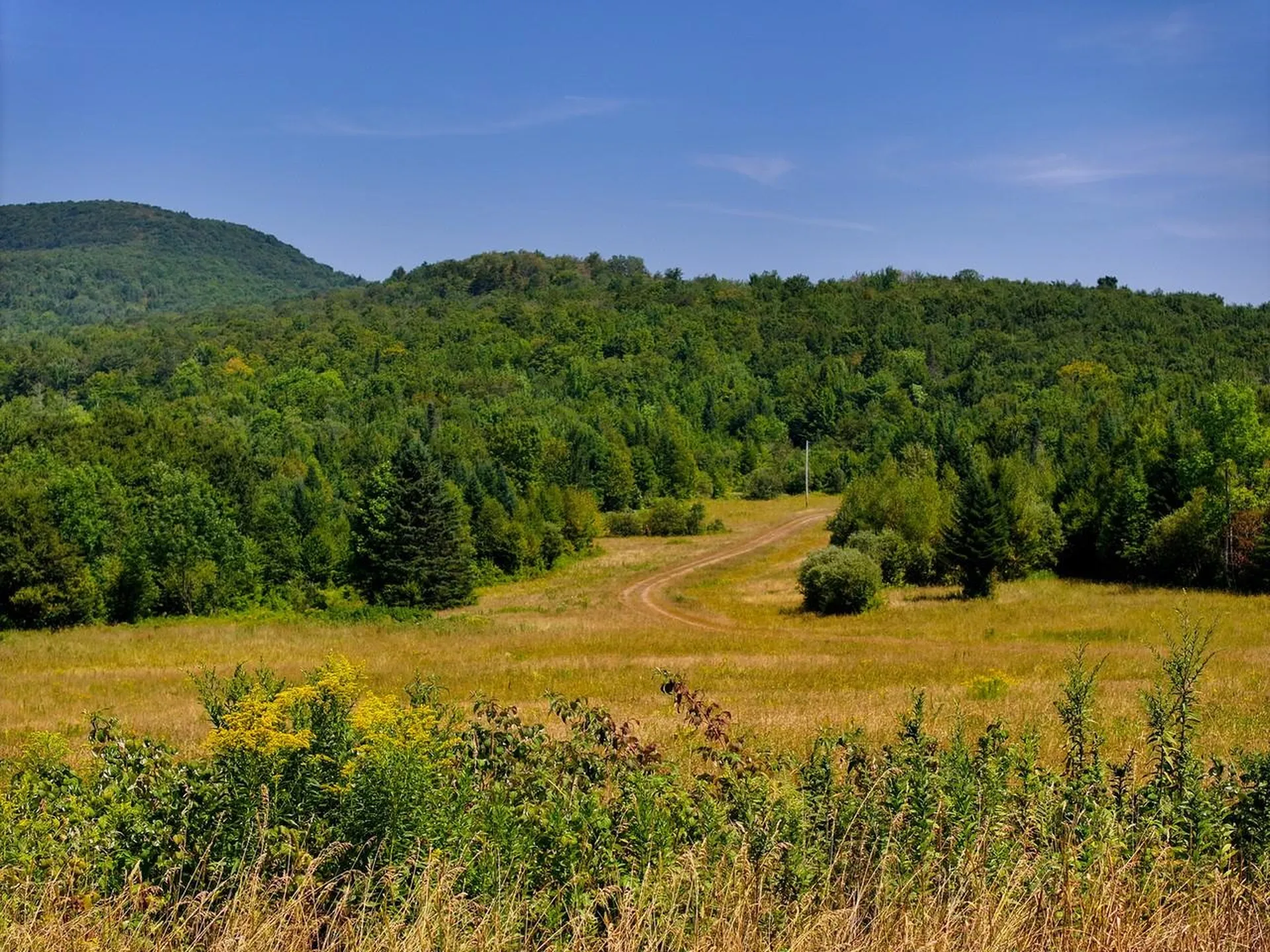 3298 East Hill Road Eden VT 05653