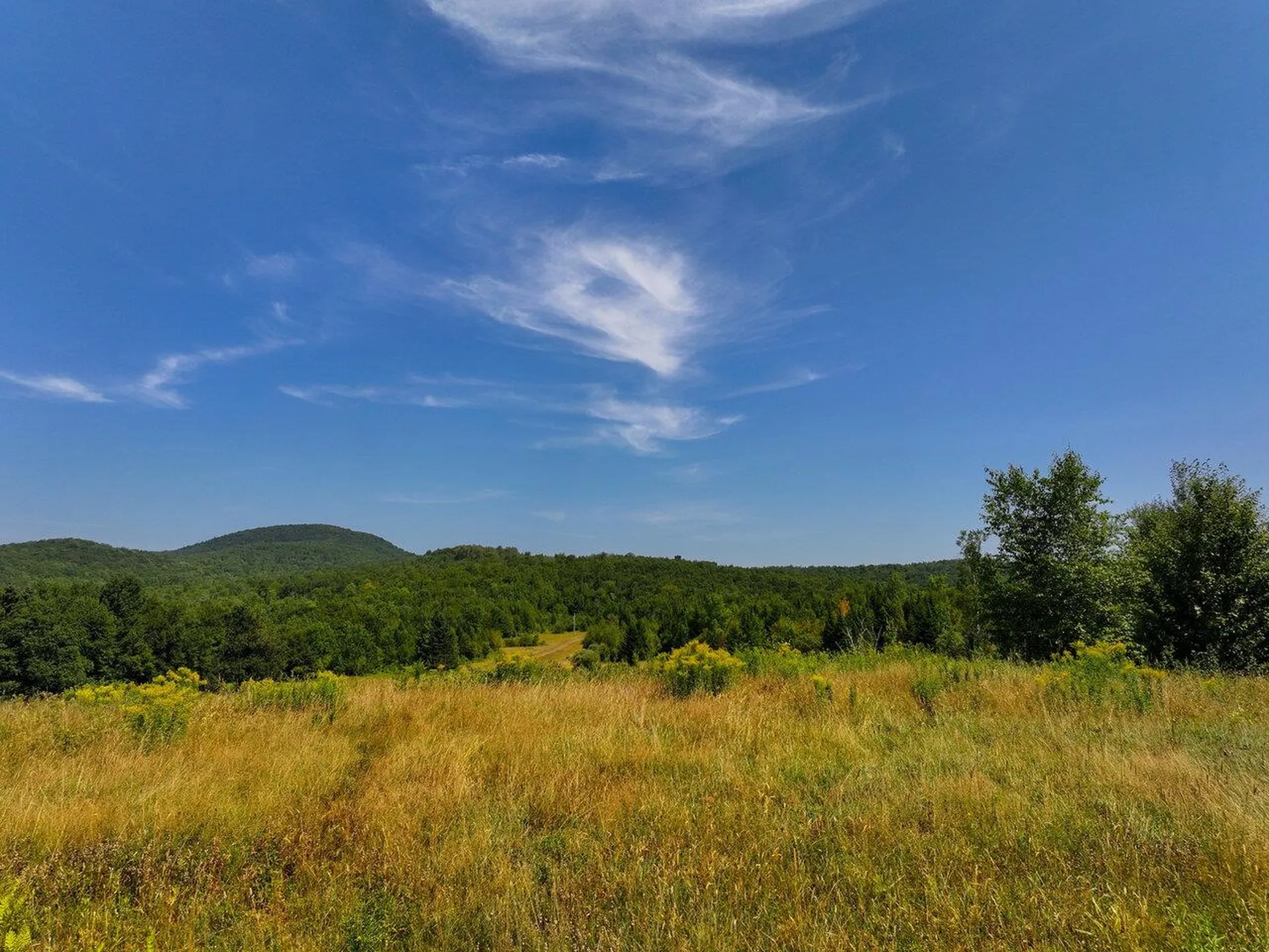 3298 East Hill Road Eden VT 05653