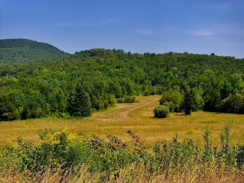 3298 East Hill Road Eden VT 05653
