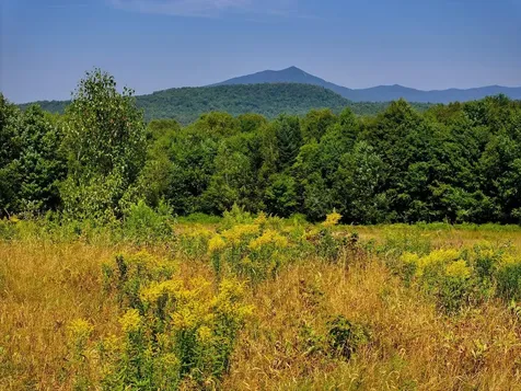 3298 East Hill Road Eden VT 05653