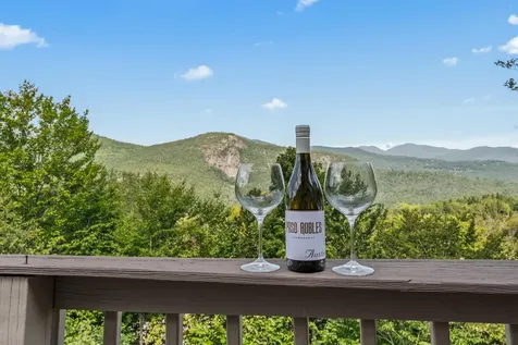 46 Ammonoosuc Drive Bartlett NH 03812