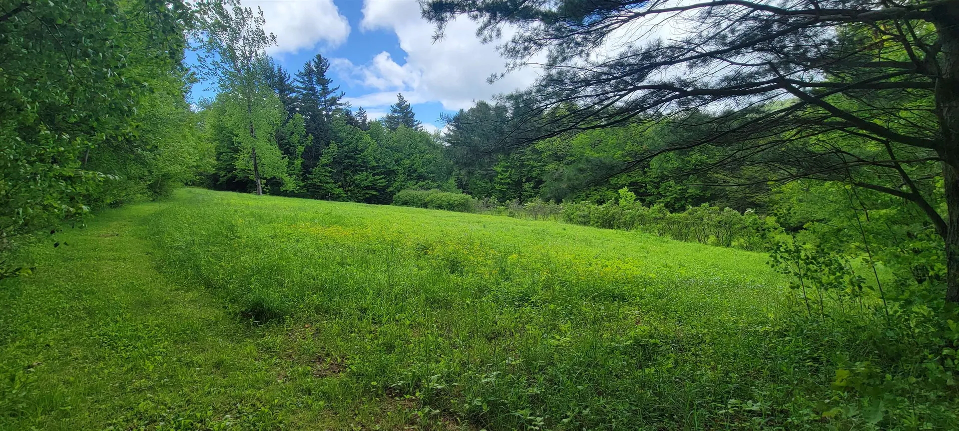 5134 Vt Route 9 Marlboro VT 05344