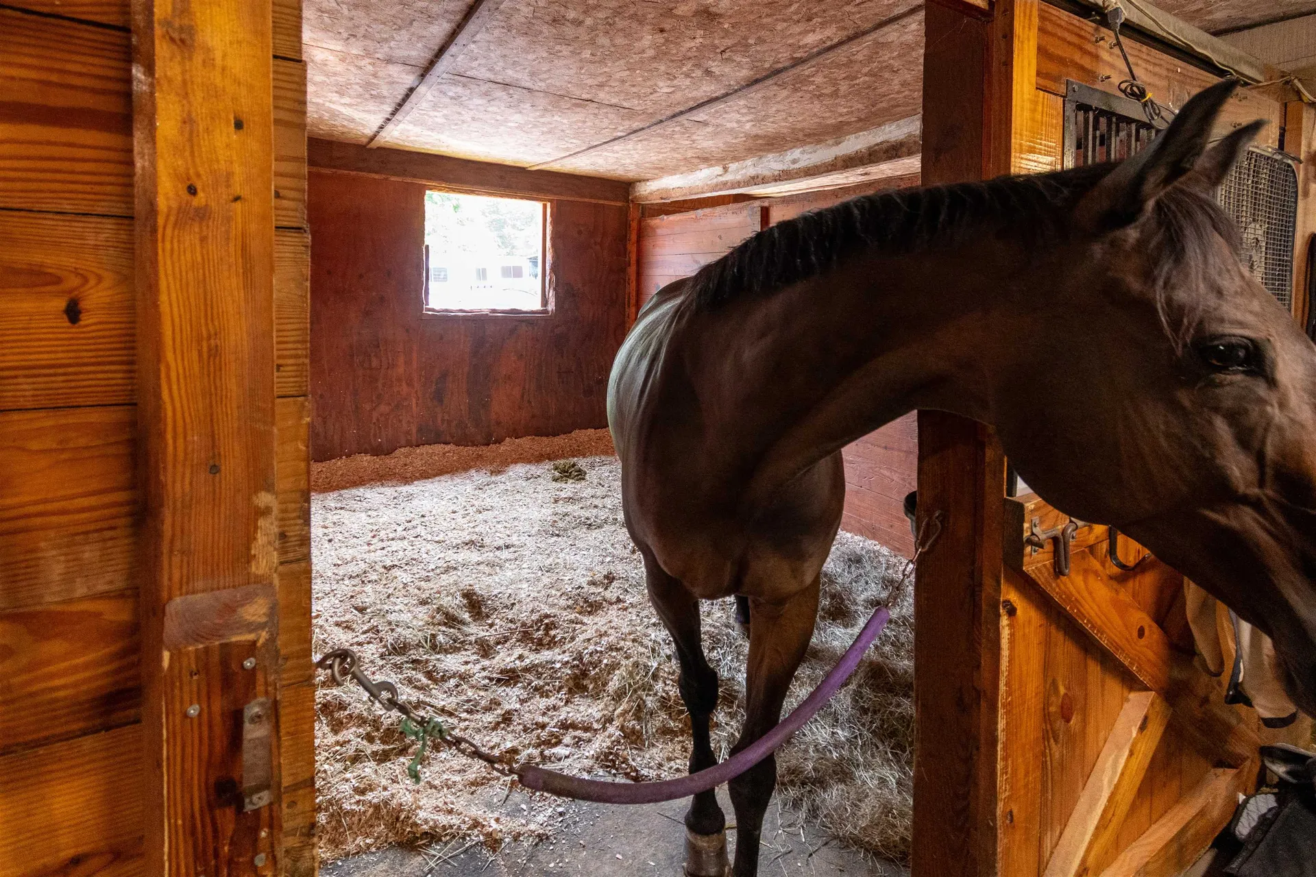 6493 Dorset Street Shelburne VT 05482-7096