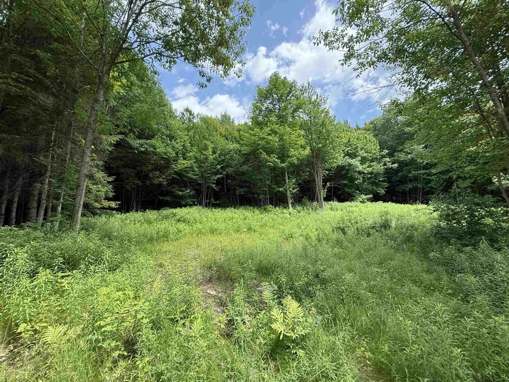 127 Hidden Acres Drive Monkton VT 05469