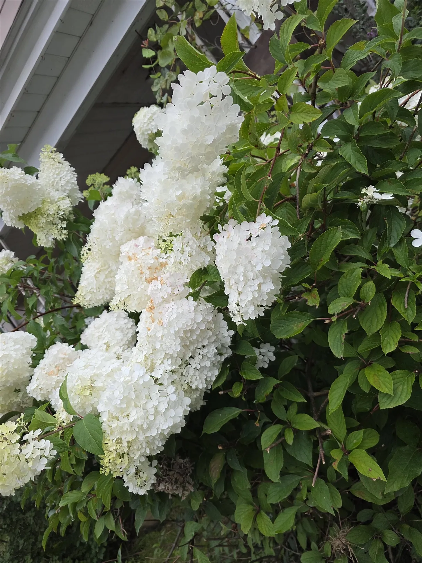 105 Brook Street Barre City VT 05641