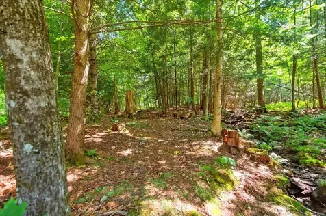 2709 Amidon Road Montgomery VT 05471