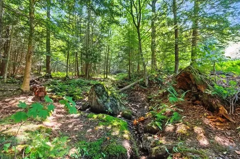 2709 Amidon Road Montgomery VT 05471