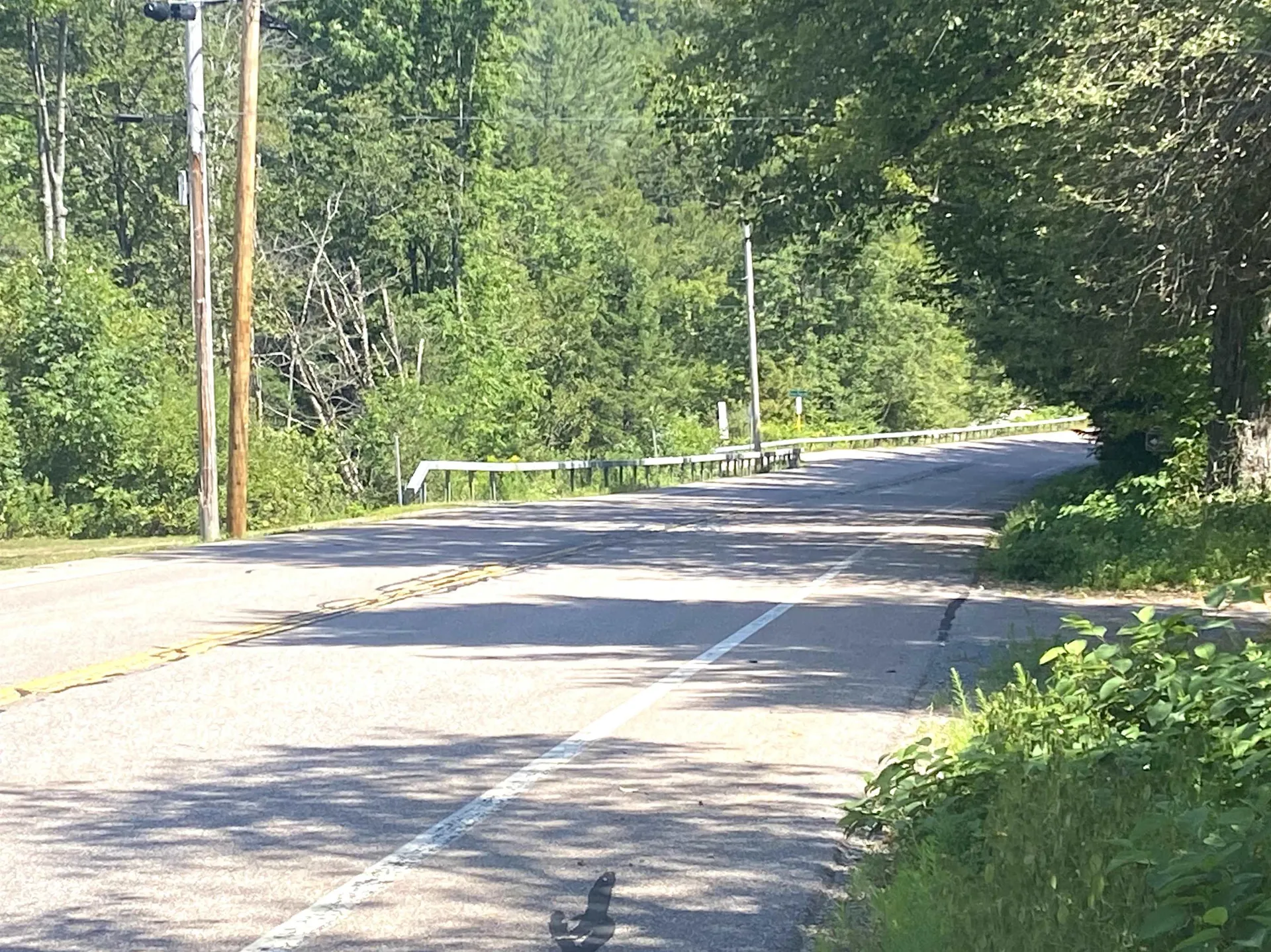 3106 Vt Route 125 Hancock VT 05748