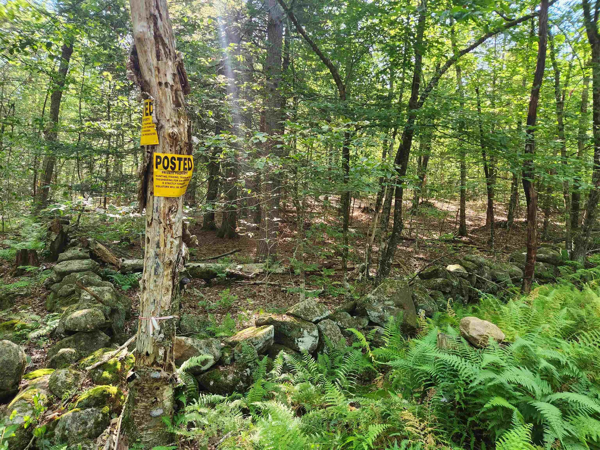 Lot 18-1 Old Coach Road Fitzwilliam NH 03447