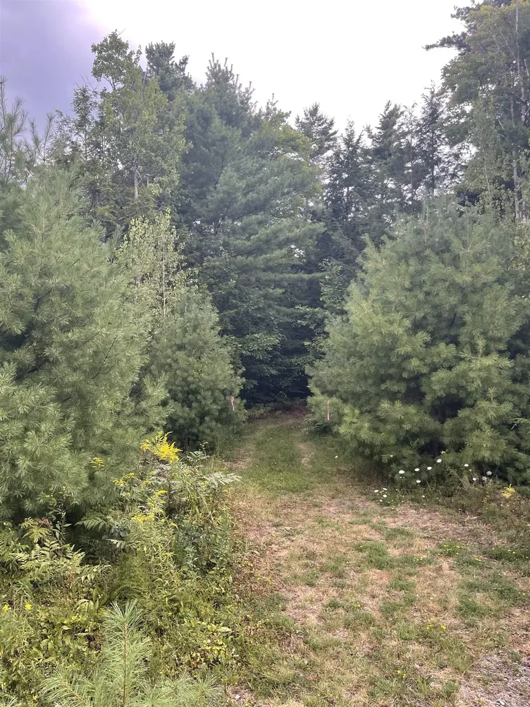 Hidden View Drive Marlborough NH 03455