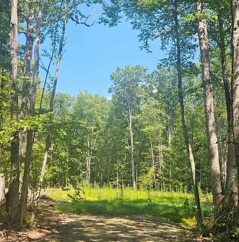 5 Blaisdell Court Raymond NH 03077