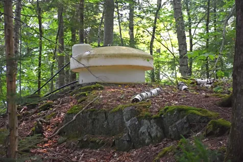 195 Meadow Lane Woodbury VT 05681