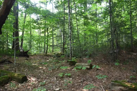 195 Meadow Lane Woodbury VT 05681