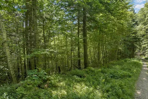 36-3 Checkerberry Lane Meredith NH 03253