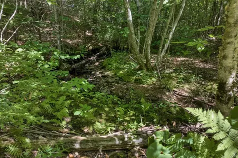 36-3 Checkerberry Lane Meredith NH 03253