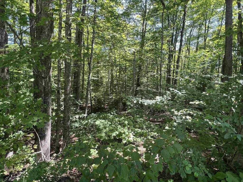 72 Buckboard Drive Dover VT 05356