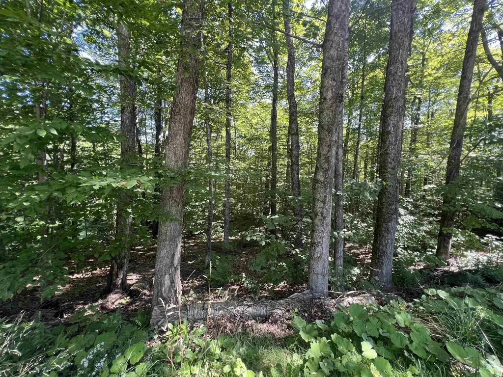72 Buckboard Drive Dover VT 05356