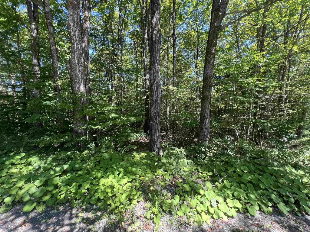 72 Buckboard Drive Dover VT 05356