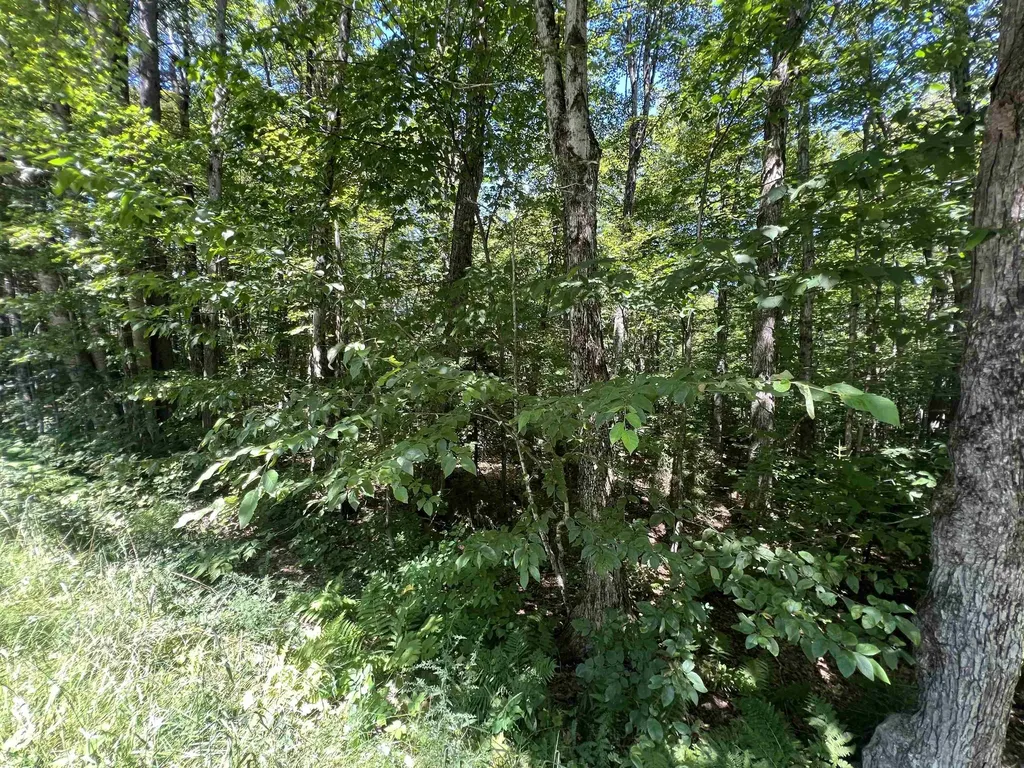 72 Buckboard Drive Dover VT 05356